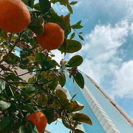 Appartamento Gjorgji'S Tirana