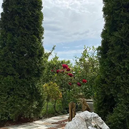 Gjorgji'S Tirana